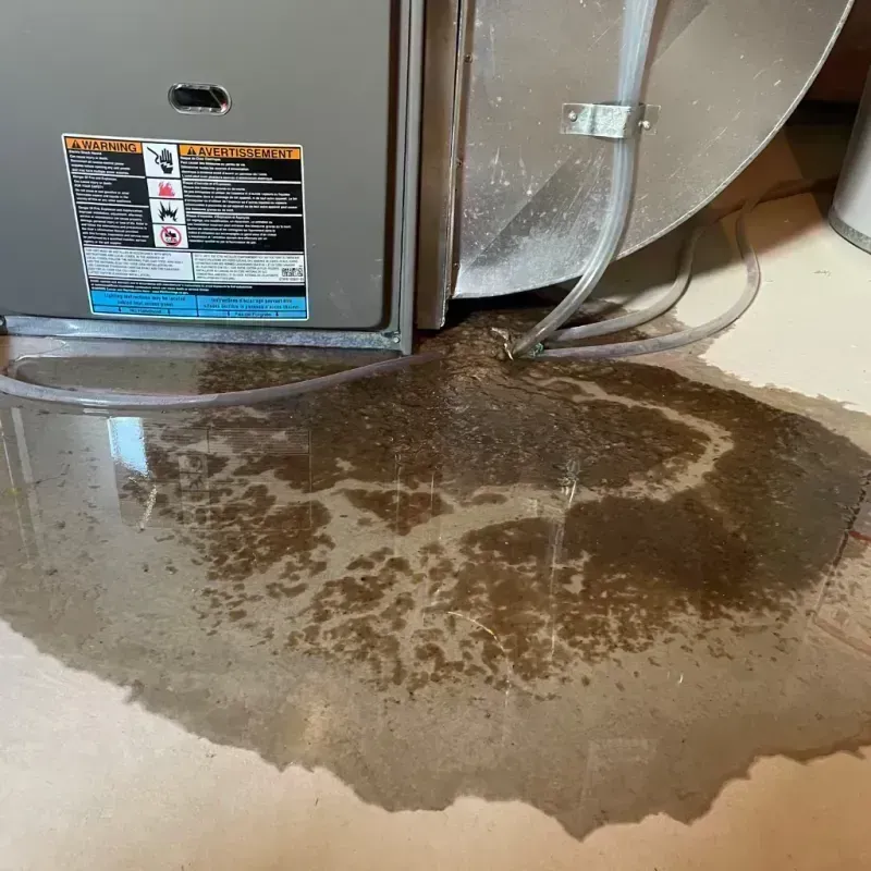 Appliance Leak Cleanup in Old Jamestown, MO